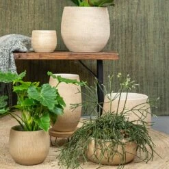 Ryan Plant Pot - Sand Gold -Garden Potted Plant Shop Ryan Plant Pot Sand Gold