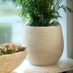 Ryan Plant Pot - Sand Gold -Garden Potted Plant Shop Ryan Plant Pot Sand Gold Parlour Palm