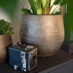 Ryan Plant Pot - Shiny Gold -Garden Potted Plant Shop Ryan Plant Pot Shiny Gold Lifestyle 02