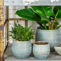 Garden Potted Plant Shop -Garden Potted Plant Shop RyanPlantPot BlueGold 2 min