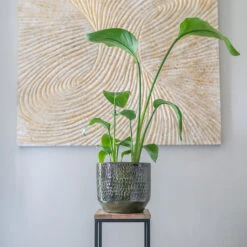 Sanna Plant Pot - Moss Green -Garden Potted Plant Shop Sanna Moss Green 7