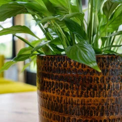 Sanna Plant Pot - Savanna -Garden Potted Plant Shop Sanna Savana 2