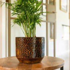 Sanna Plant Pot - Savanna -Garden Potted Plant Shop Sanna Savana 4