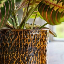 Sanna Plant Pot - Savanna -Garden Potted Plant Shop Sanna Savana 6