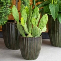 Scott Planters - Set Of 3 - Green 13 Scott Planters - Set Of 3 - Green -Garden Potted Plant Shop Scott Planters Set of 3 Green Lifestyle 01