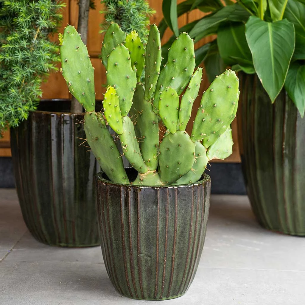 Scott Planters - Set Of 3 - Green 6 Scott Planters - Set Of 3 - Green - Image 6