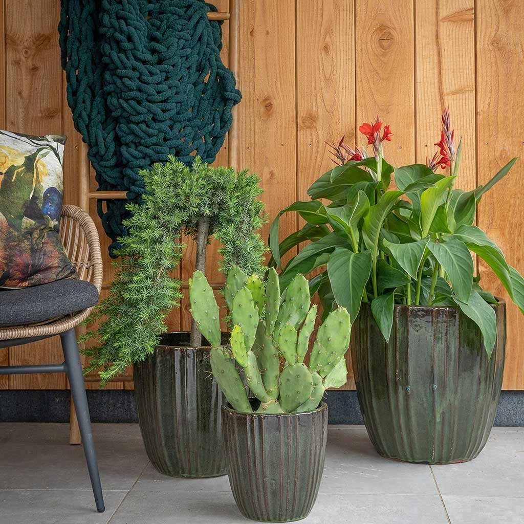 Scott Planters - Set Of 3 - Green 7 Scott Planters - Set Of 3 - Green - Image 7