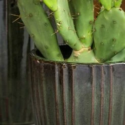 Scott Planters - Set Of 3 - Green 15 Scott Planters - Set Of 3 - Green -Garden Potted Plant Shop Scott Planters Set of 3 Green Lifestyle 03