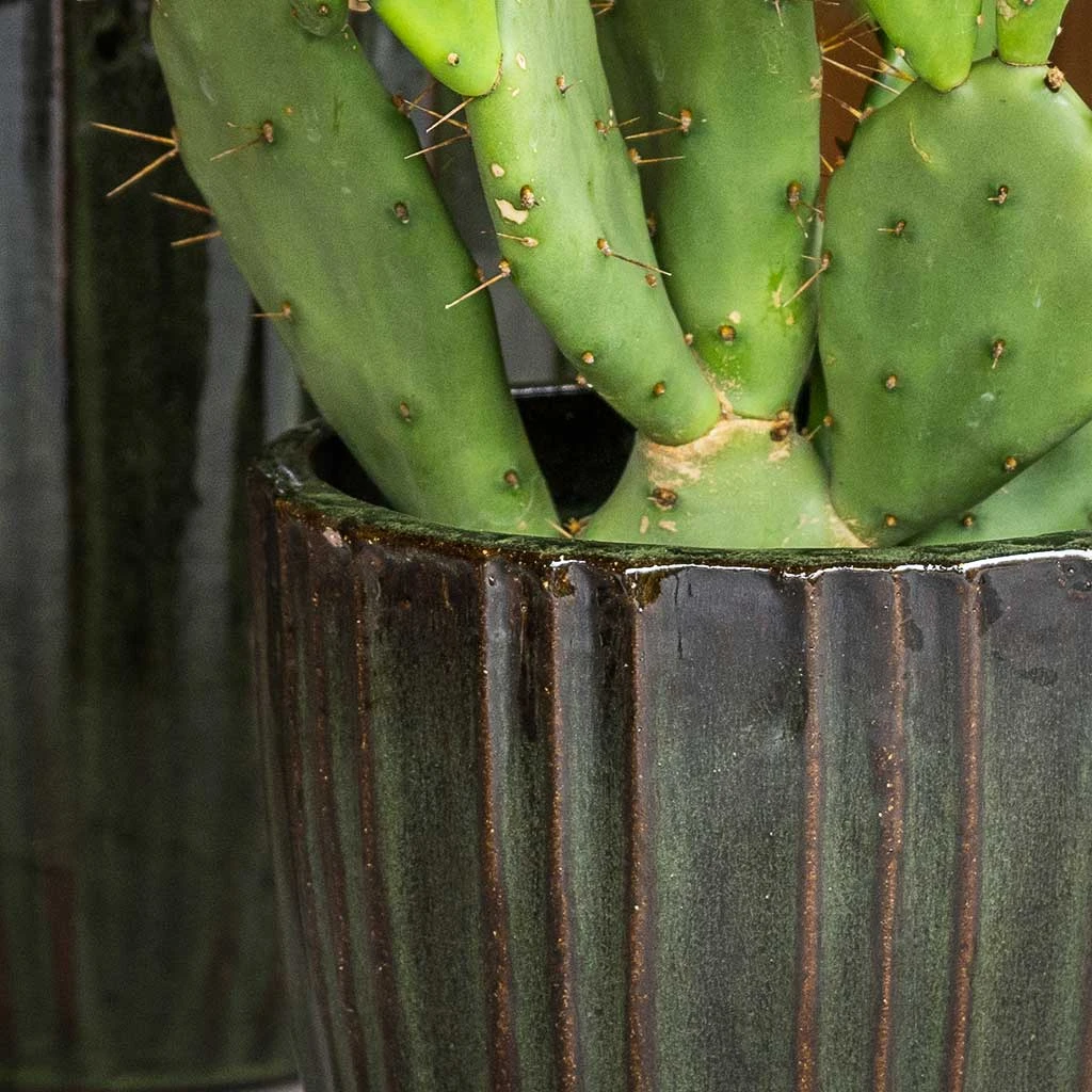 Scott Planters - Set Of 3 - Green 8 Scott Planters - Set Of 3 - Green - Image 8