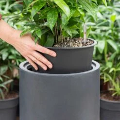 Solid Cylinder Planter - Dark Grey -Garden Potted Plant Shop Solid Cylinder Planter Dark Grey 1