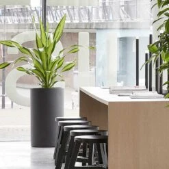 Solid Cylinder Planter - Dark Grey -Garden Potted Plant Shop Solid Cylinder Planter Dark Grey 3