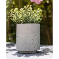 Suzi Plant Pot - Grey Washed -Garden Potted Plant Shop Suzi Plant Pot Grey Washed Outdoor Plant