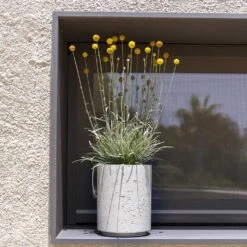 Suzi Plant Pot - Grey Washed -Garden Potted Plant Shop Suzi Plant Pot Grey Washed Outdoor Plants