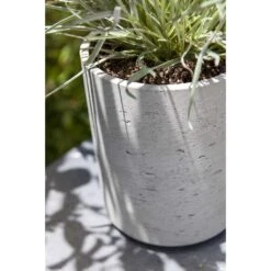 Suzi Plant Pot - Grey Washed -Garden Potted Plant Shop Suzi Plant Pots Grey Washed Close Up