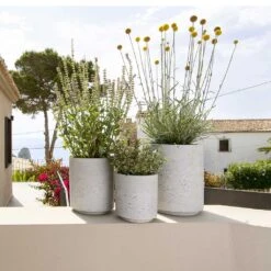 Suzi Plant Pot - Grey Washed -Garden Potted Plant Shop Suzi Plant Pots Grey Washed Outdoor Plants