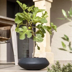 Tara Natural Bowl Planter - Black -Garden Potted Plant Shop TaraNaturalPlanter Black 3