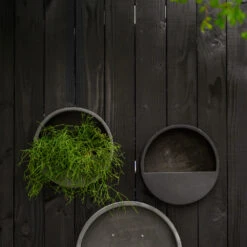 Wally Natural Wall Planter - Black -Garden Potted Plant Shop WallyNaturalWallPlanter Black 4