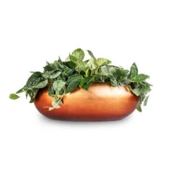 Metallic Boat Planter - Matt Copper -Garden Potted Plant Shop White Wonder Satin Pathos Metallic Boat Planter Matt Copper 56x23x20cm