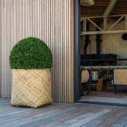 Zayn Bamboo Planter -Garden Potted Plant Shop Zayn Bamboo Planter Box Hedge