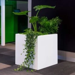Block Essentials Planter - Matt White -Garden Potted Plant Shop block planter essential matte white indoor plants
