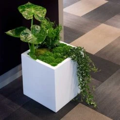 Block Essentials Planter - Matt White -Garden Potted Plant Shop block planter essential matte white indoor plants cube