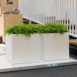 Block Essentials Planter - Matt White -Garden Potted Plant Shop block planters essential matte white indoor ferns