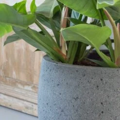 Mini Orb Cement & Stone Plant Pot - Granite Grey -Garden Potted Plant Shop pottery pots stone orb 2