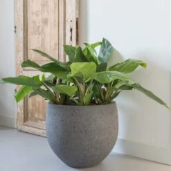 Garden Potted Plant Shop -Garden Potted Plant Shop pottery pots stone orb 3