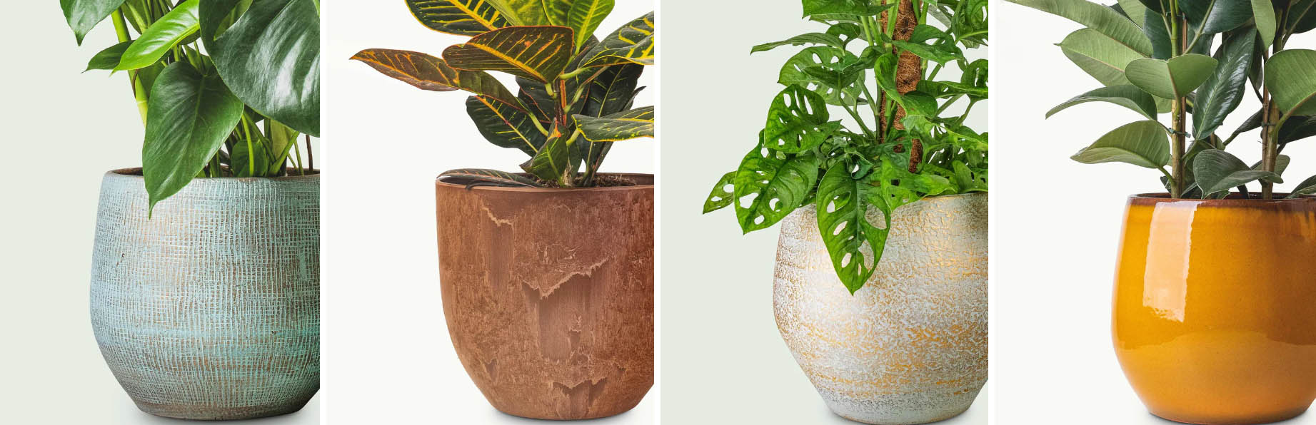 Garden Potted Plant Shop -Garden Potted Plant Shop gfjghj